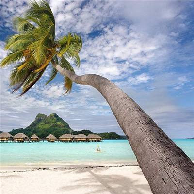 半岛网页版下载手机版截图